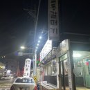 꼴통갈매기