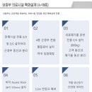 13층약국