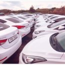 성공렌트카 이미지