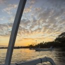 돌고래약국 | • 발리 로비나 돌고래투어 • 쿨룩 돌고래투어 솔직후기