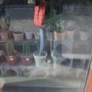 CU 점촌터미널점 이미지