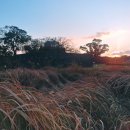 표선리-16 이미지