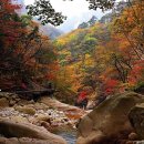 진주뫼사랑토요산악회 106차 정기산행 안내(설악산 망경대) 이미지