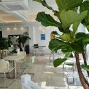 WITH DEW(윗듀) 이미지