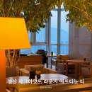 레이지 애프터눈 | 부산 파크하얏트 라운지 애프터눈 티 세트 아기랑 방문 후기
