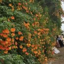 한강화장실 뚝섬16 화장실 이미지