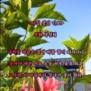 고요한꽃뜰 네이버블로그
