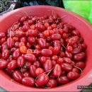 두메산골식당 이미지