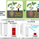 농업회사법인 지구산업 주식회사 | 일본 농림수산성의 2025년 ‘농업기술 10대 뉴스’