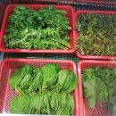 장어천국 이미지