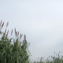 주남마을길 티스토리