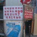 음 Daum카페