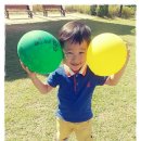 들놀이공원 이미지