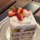 용산-224 | [신용산 카페 추천] 용산 분위기 좋은 카페 브레니 파이 칸틴 내돈내산 솔직후기