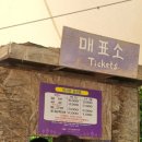 하늬농장 | [강원도 고성] 하늬 라벤더팜 - 6월 라벤더 축제 미리 다녀온 후기 (준비물, 방문 꿀팁 공유)