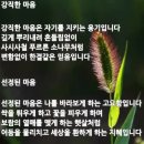 마음가