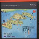 앞산카페거리 경관조 | ① 가평 자라섬 - ( 2025.05.18 )