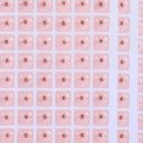 귀건강(이혈테라피) 이미지