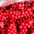 만인농장 이미지