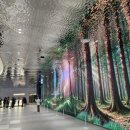 애터미, 연수시설 '속리산포레스트' 오픈…"글로벌 도약 발판 될 것" 이미지