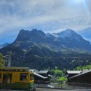 호텔더비 | 스위스 그린델발트 더비 호텔 후기