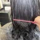 헤어빈 | [의정부미용실] 헤어빈에서 클리닉받은 후기, 추천