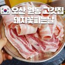 대패꽃 피는날 이미지