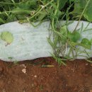 호생농장 이미지