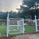 나나애견 | 🐶[애견카페/나나도그] 속초 소·중형견 애견카페