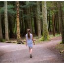 돌산한의원 이미지