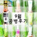 6-236 TS | 공병후기) 2019.9월 리뷰