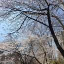 동작역 1번출구 앞 이미지