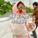 제주별서