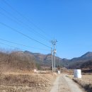 금산1리 이미지