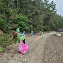 공공용 50 이미지