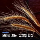 (온라인)건강한 밥상 | 보리쌀 효능, 건강한 밥상