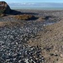 광경목장 이미지