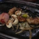 갈라파꼬치 이미지