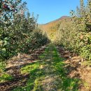 귀촌펜션 이미지