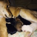 제이모터스(J모터스) 이미지