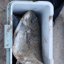 금진해변 남쪽 이미지