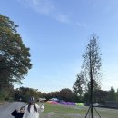 동화야영장 | (고양) 서삼릉청소년야영장에서 캠핑1박후기