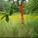 팔봉초등학교 이미지