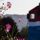 하동레일파크 이미지