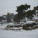 태안중학교 이미지