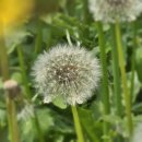 교산가마솥밥 한상 이미지