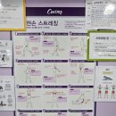 녹번초등 | 커브스 녹번클럽에서 체계적인 순환운동 - 30분의 뿌듯함^^