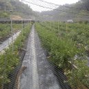 비당농장 이미지