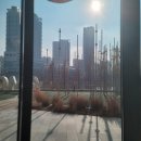 꼬모의 산책 | 호수공원 산책 후 딱! 동탄호수공원맛집 콘타이 후기, 똠얌쌀국수+치킨덮밥 (레이크꼬모 주차/수유실 꿀팁)