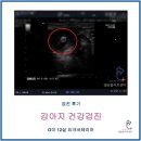 아이사랑동물병원 건강검진센터 이미지